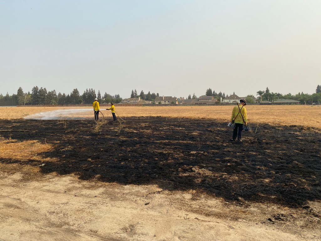 img_0899.jpeg?w=1024