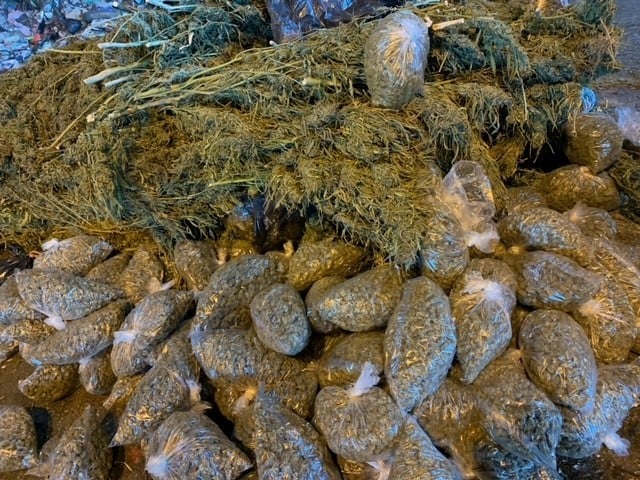 124044506_3576334382417120_1388387438171027523_n.jpg?w=640